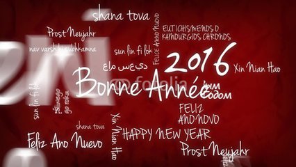 Bonne Année 2016