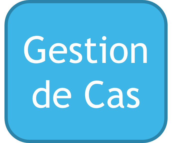 logo-bouton-gestion-de-cas