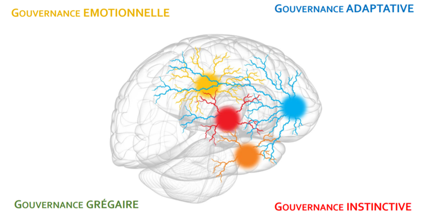 4 gouvernances