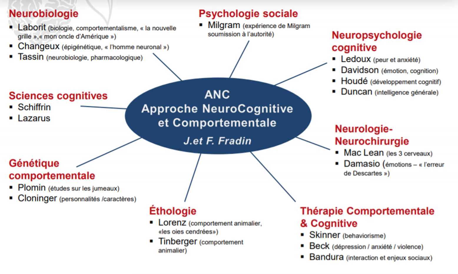 Shéma synthétique SNC