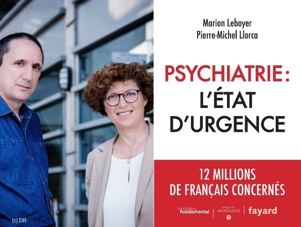 leboyer_llorca_psychiatrie_letat_durgence