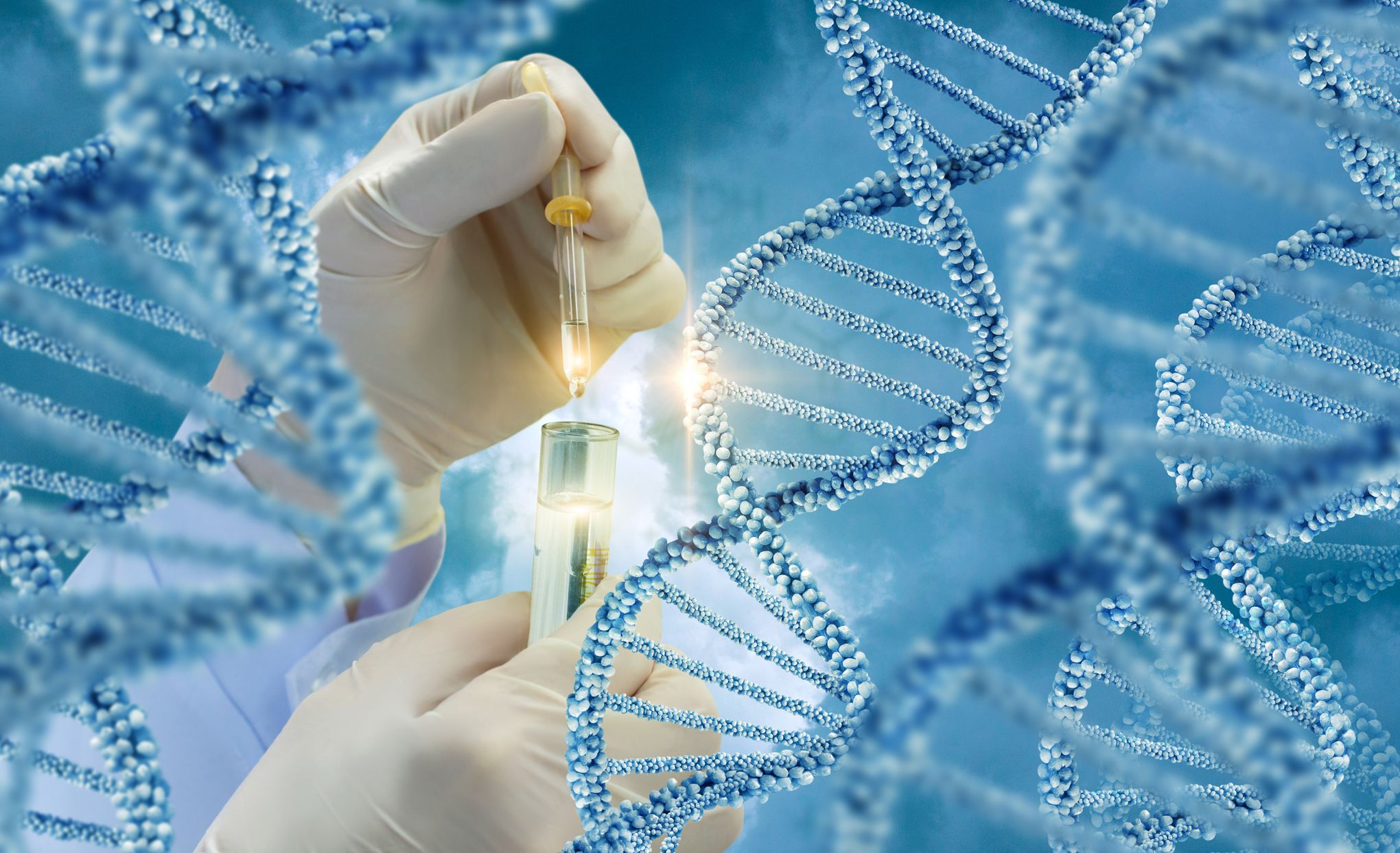 Testing of DNA molecules .