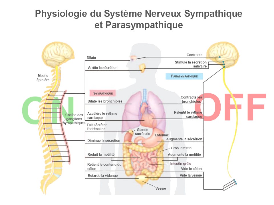 Image 1 Stress